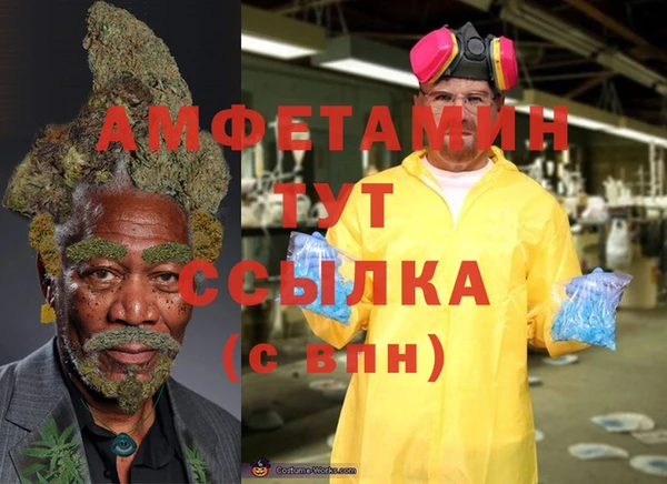 хмурый Горняк