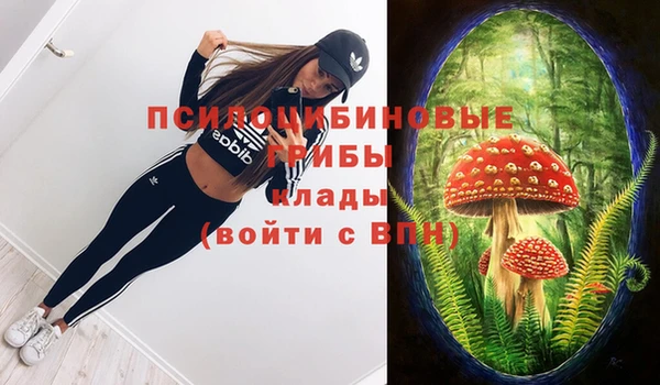 ПСИЛОЦИБИНОВЫЕ ГРИБЫ Дмитровск