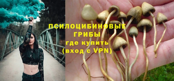 apvp Горнозаводск