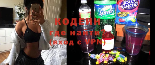 хмурый Горняк