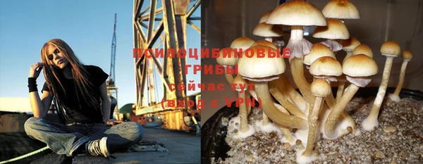 хмурый Горняк